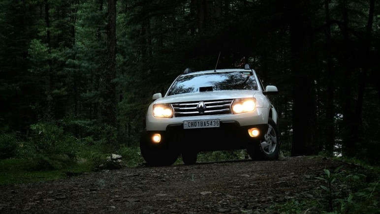 RENAULT PHOTO OF VEHICLE ON DIRT ROAD SORROUNDED BY TALL TREES