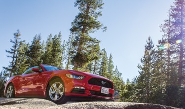RED CAR NATURE STONE TREES, FORD MUSTANG 