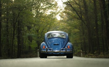VW BEETLE CAR CLASSIC CAR FOREST